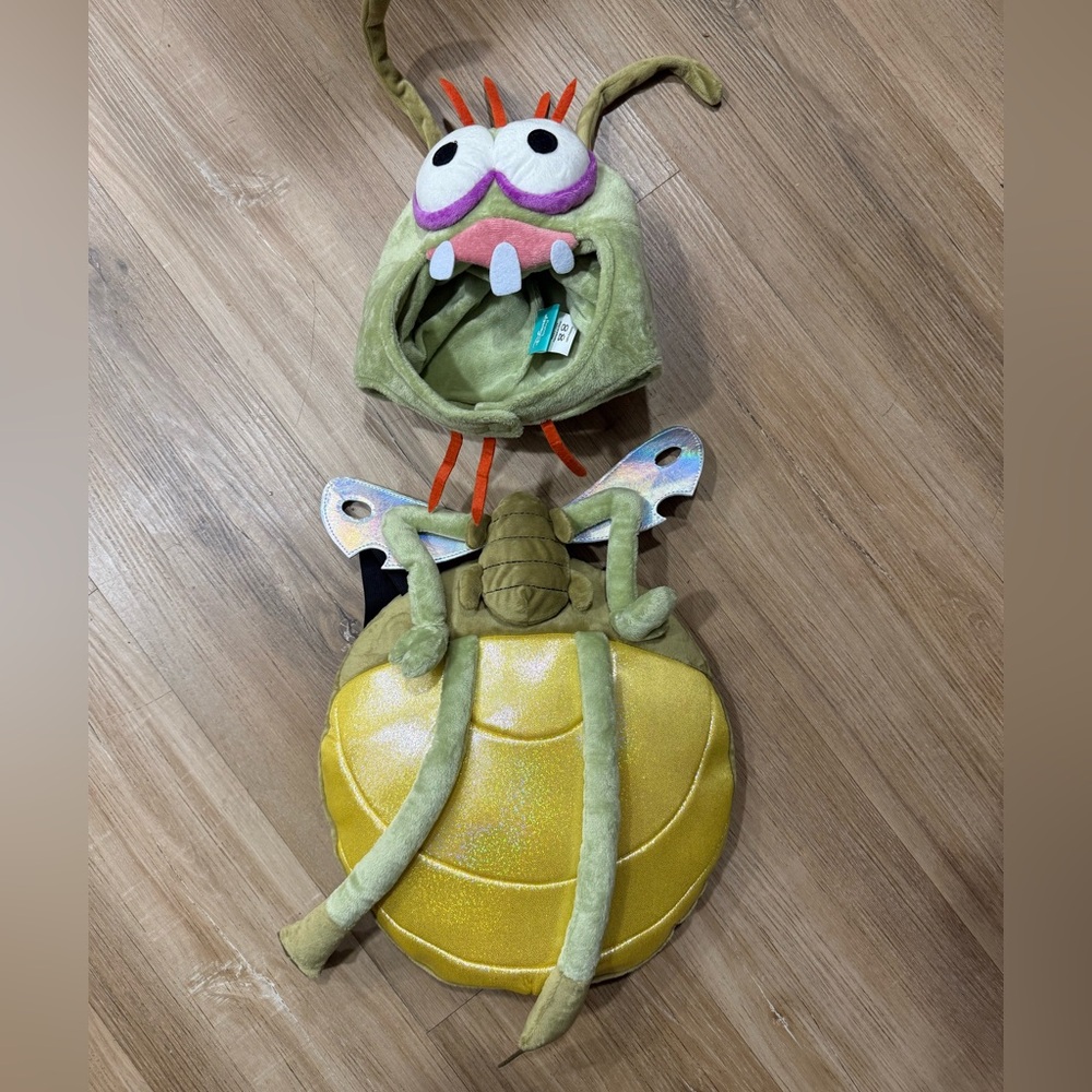 Princess and The Frog Firefly “Ray” infant carrier/front pack costume